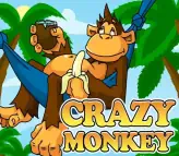 Crazy Monkey - PIN UP