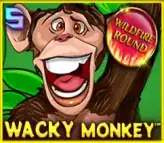 Wacky Monkey - PIN UP