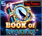 Book of Wolves - PIN UP
